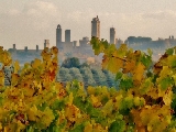 A San Gimignano l’agronomo è in Comune