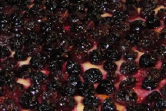 Bontà in tempo di vendemmia. Ecco la ricetta della schiacciata con l’uva