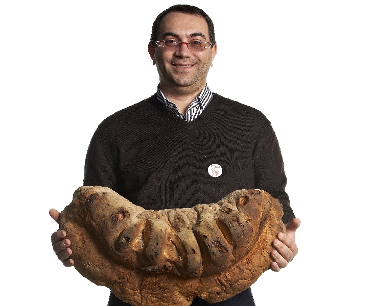 Pane di Matera o Altamura? L’importante è che trionfi la qualità