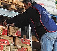 Sequestrati oltre 23mila Kg di prodotti alimentari non in regola