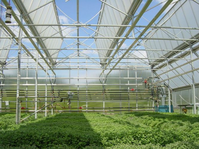 Al via la collaborazione tra Agricultura.it e Fertirrigazione.it