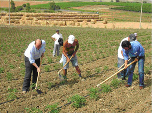 Riliquidazione, modifiche al calcolo dei contributi agricoli