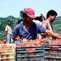 Favorire assunzioni in agricoltura è necessità del Paese