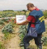 Terra dei Fuochi, piano di azione per controlli, repressione e bonifica