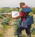 Terra dei fuochi: decreto blocca vendita prodotti ortofrutticoli fino a esito nuovi accertamenti
