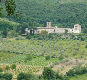 territorio_2.jpg