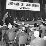 50 anni di Vinitaly, una road map per il vino del futuro