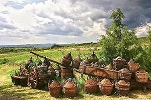 Il Gallo Nero in Germania per il Pro-Wein