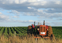 Sicurezza in agricoltura: a Roma primo forum mondiale
