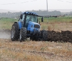 Approvato nuovo piano assicurativo. Molte le novità per gli agricoltori