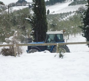 trattore_neve.jpg