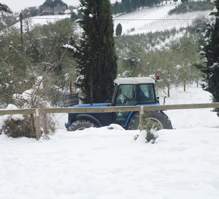 Stalle ostaggio del gelo: in Val di Cecina – 40% di latte