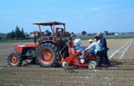 Cresce il biologico in Toscana. I positivi effetti del Psr