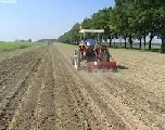 Ddl Stabilità: stralcio da 30mln per i giovani. L’agricoltura protesta