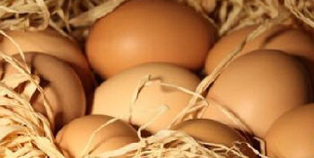 Pasqua 2021. Confagricoltura: Premiate le uova vere, gli italiani scelgono quelle di gallina