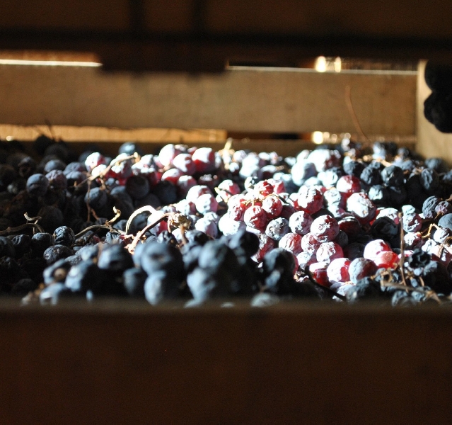 In Valpolicella la vendemmia è in stile anni ’90