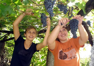 Estate 2011, oltre 200mila giovani impegnati nei campi