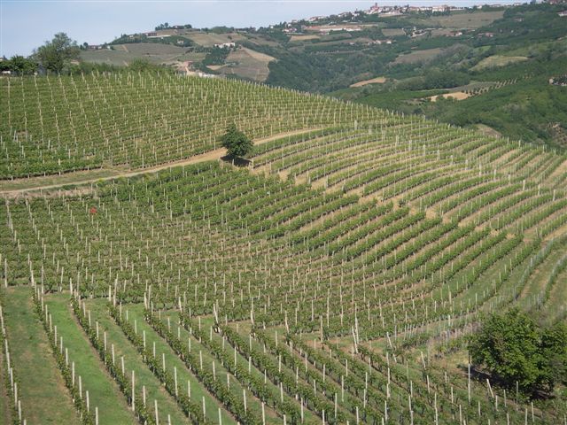 Focus Piemonte 2018. Agricoltura in evoluzione, le nuove emergenze chiedono una forte capacità d’innovazione