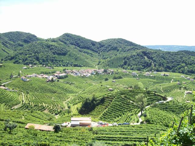 Veneto, cresce l’agricoltura. Sfiorati nel 2018 i 6,5 mld di euro (+8% sul 2017)