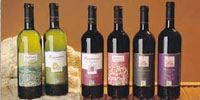 I vini Statti sbarcano in America