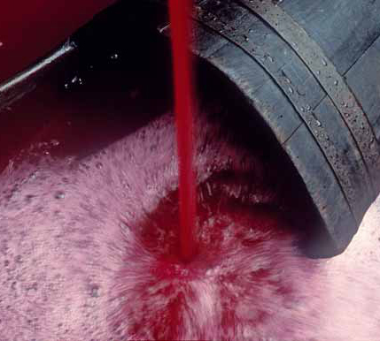 Falso vino Doc Oltrepò pavese. Copagri: grave danno d’immagine, serve riflessione su etica lavoro