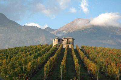 Concorso Vini di montagna: ecco l’elenco di tutti i premiati
