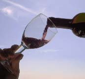 Sei “S”, la ricetta di Vecchioni per rilanciare il vino italiano nel mondo