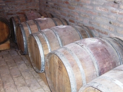 Enoteca Italiana tinge di tricolore il 45° Vinitaly di Verona