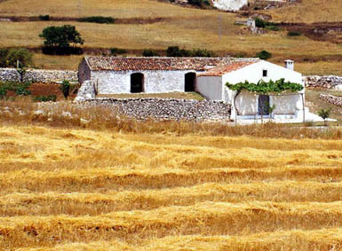 Fondo di garanzia Ismea, seminario a Valenzano (Ba)