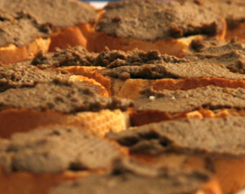 La cucina regionale si incontra a Carrarafiere