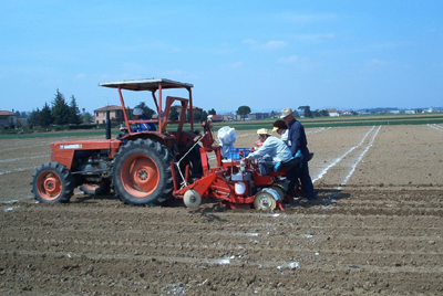 Imprenditori agricoli e fisco: è legittimo l’accertamento sintetico