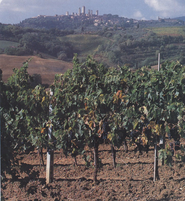 Testo unico del Vino. Ok alla Camera. La soddisfazione degli agricoltori
