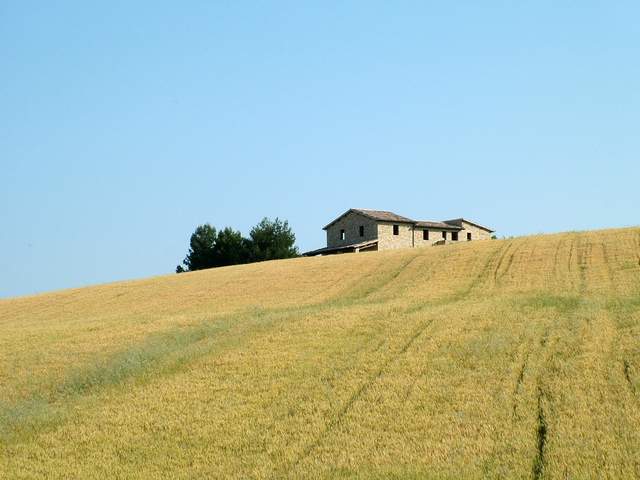 La cessione di azienda agricola non produce plusvalenza