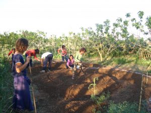 agric giovani