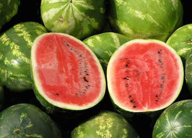 Prezzi all’ingrosso, ribassi per frutta estiva e vini. Angurie a -33,7% e pesche -16,6%
