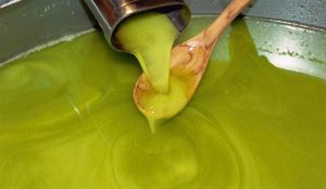 olio6