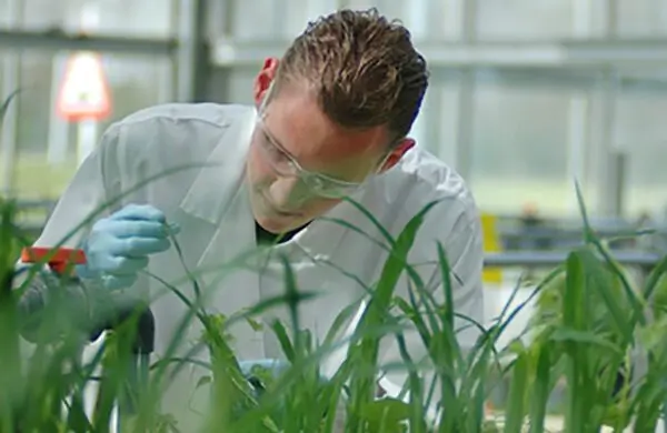 Miglioramento genetico delle piante e futuro dell’agricoltura, se ne parla ai Georgofili