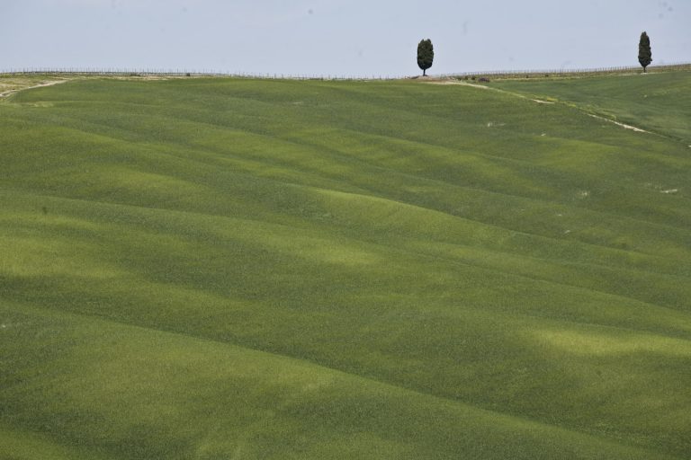 Ripristino natura. Confagricoltura, la sostenibilità non si ottiene con divieti