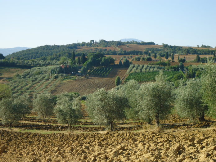 campagna_toscana