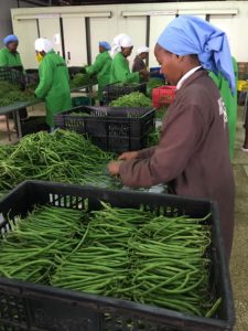 L'ortofrutta in Kenya