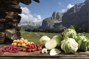 Verdure - Fonte F. H.Rier