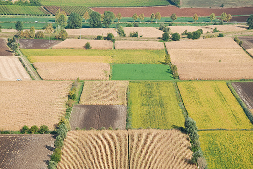 Agricoltura, Bellanova: in legge bilancio le prime risposte. Ora lavoro parlamentare per rafforzare interventi