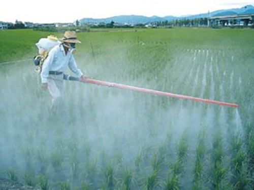 La svolta green.  Dal 2021 Toscana, regione ‘glifosate free’