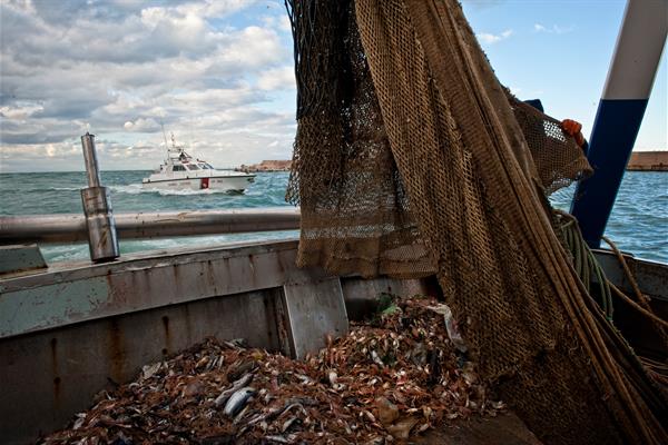 Frodi alimentari. 160mila controlli per 36 milioni di euro di sequestri e 6 mila sanzioni. In aumento i falsi sul web
