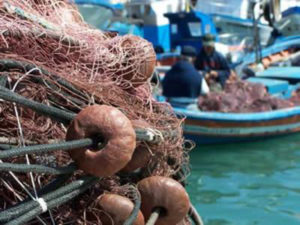 pesca1