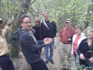 tartufo_asciano