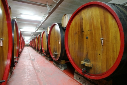 Giacenze nazionali. In calo il vino, sempre alti i depositi di olio