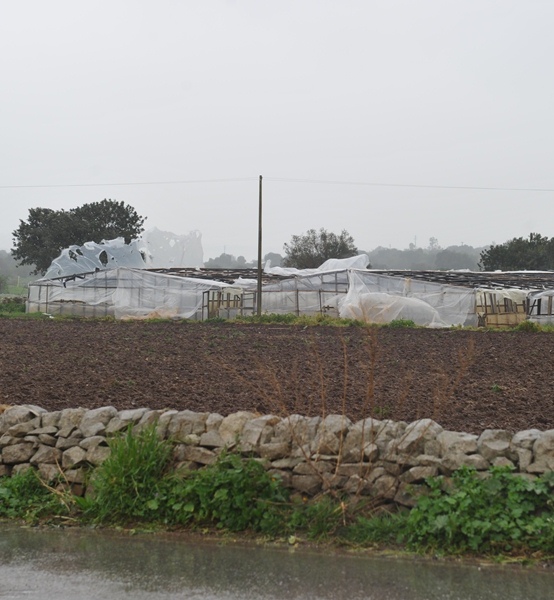 Maltempo. Danni ingenti all’agricoltura di Sicilia, Calabria e Basilicata. Il monitoraggio di Confagricoltura