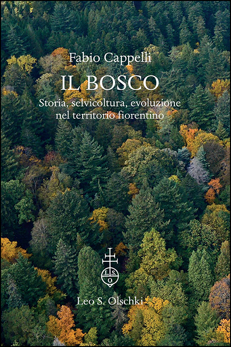 “Il bosco”. Storia, selvicoltura, evoluzione nel territorio fiorentino
