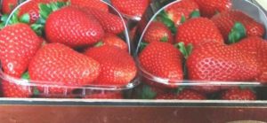 fragole2